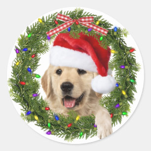 Sticker Rond Golden Retriever dans la couronne de Noël