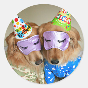 Sticker Rond Golden Retriever in Pyjamas Sommeil Masque Anniver