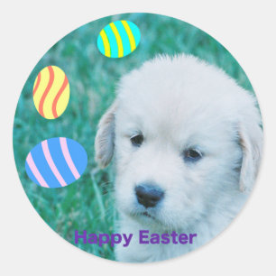 Sticker Rond Golden Retriever Pâques Puppy Cartes et Cadeaux