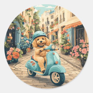Sticker Rond Goldendoodle Chien à scooter dans les rues europée