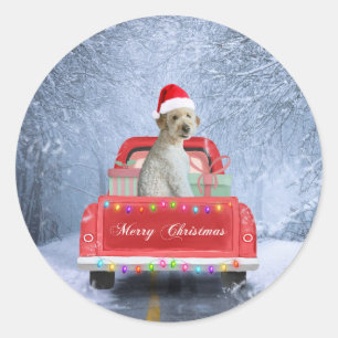 Sticker Rond Goldendoodle Chien en Neige assis à Noël
