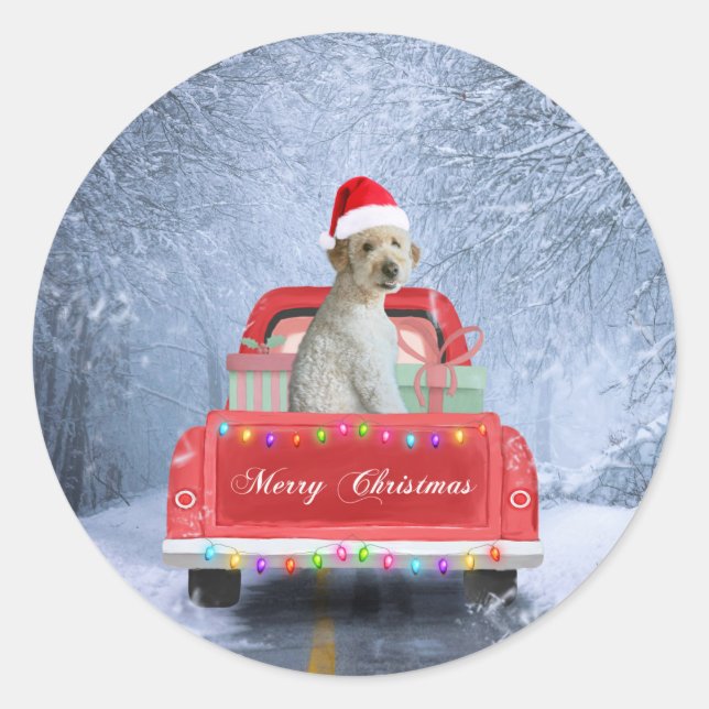 Sticker Rond Goldendoodle Chien en Neige assis à Noël (Devant)