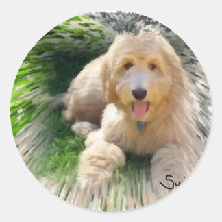 Sticker Rond Goldendoodle Labradodle