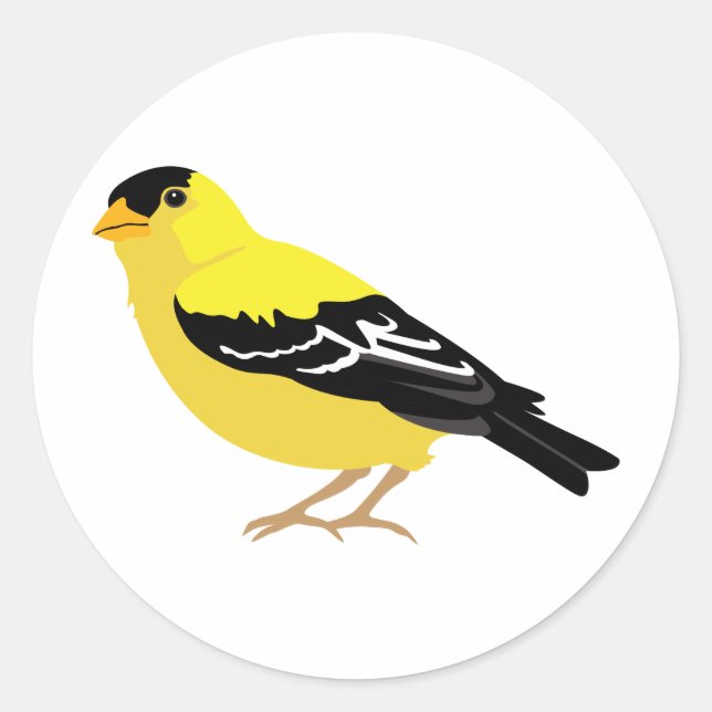 Sticker Rond Goldfinch oriental (Devant)
