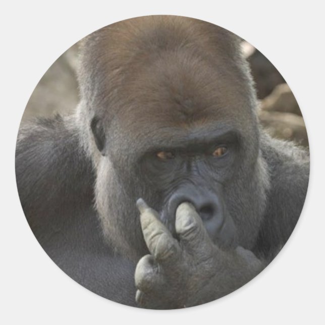 Sticker Rond gorilla cueillir son nez - eeeewwwwwww! (Devant)