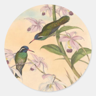 Sticker Rond Gould Hummingbirds et Orchidées