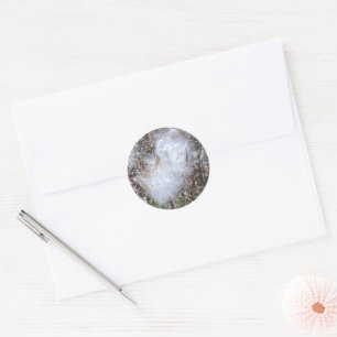 Sticker Rond Graines et soie d'algues