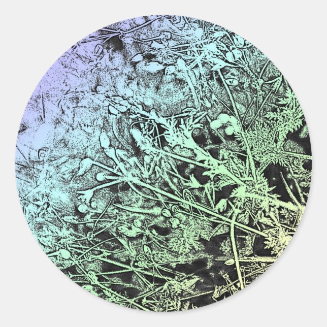 Sticker Rond Graines multicolores (Devant)