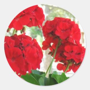 Sticker Rond Grand cadeau de jardin d'autocollants rouges