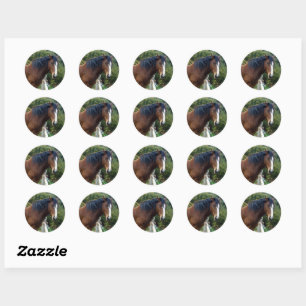 Sticker Rond Grand Cheval Brown de Clydesdale,