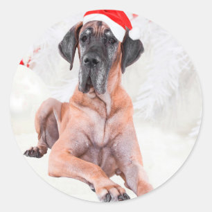 Sticker Rond Grand chien Danse Casquette Joyeux Noël
