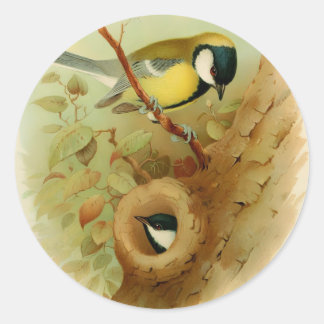 Sticker Rond Grand métis - Oiseau coloré, Art