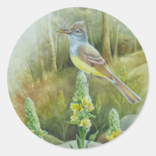 Sticker Rond Grand Moucherolle à griffe d'oiseaux aquarelle