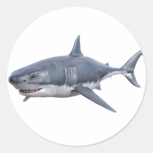 Sticker Rond grand requin blanc nageant à droite