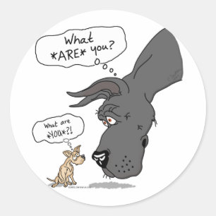 Sticker Rond Great dane et noir de chiwawa