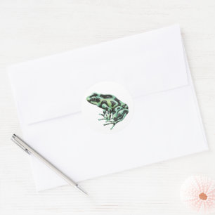 Sticker Rond grenouille à fléchettes
