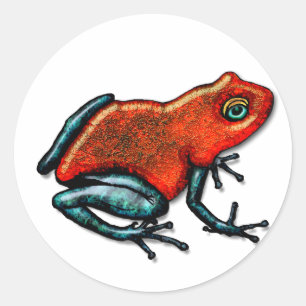 Sticker Rond Grenouille à poison rouge et verte