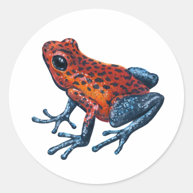 Sticker Rond Grenouille à tarte aux fraises (Devant)