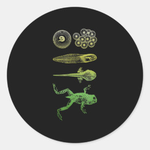 Sticker Rond Grenouille Tadpole Métamorphose Cycle de vie Biolo