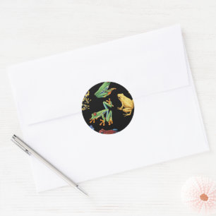 Sticker Rond Grenouilles sur noir