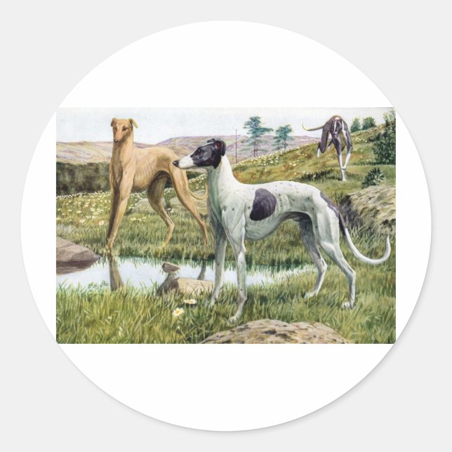 Sticker Rond Greyhound (Devant)