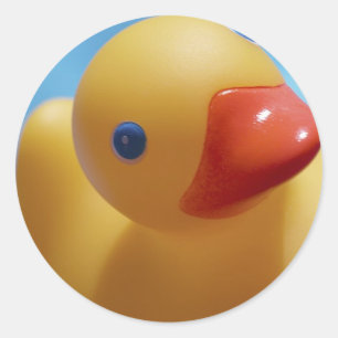 Sticker Rond Gros plan pour canard en caoutchouc
