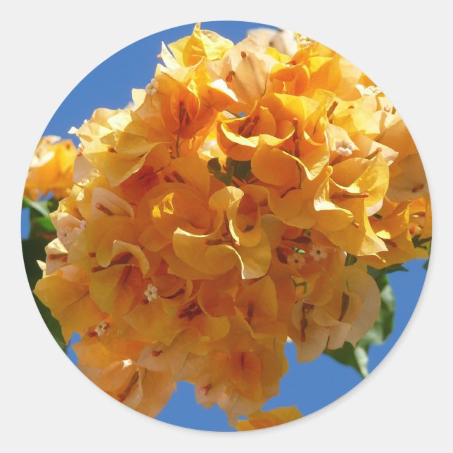 Sticker Rond Groupe de bougainvilliers d'or Floral (Devant)