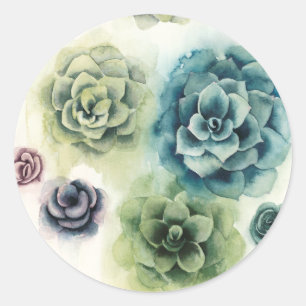 Sticker Rond Groupe de succulents