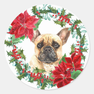 Sticker Rond Guillemet français Poinsettia Holly