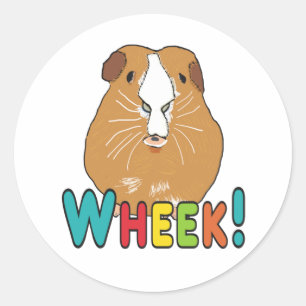 Sticker Rond Guinée Pig Wheek