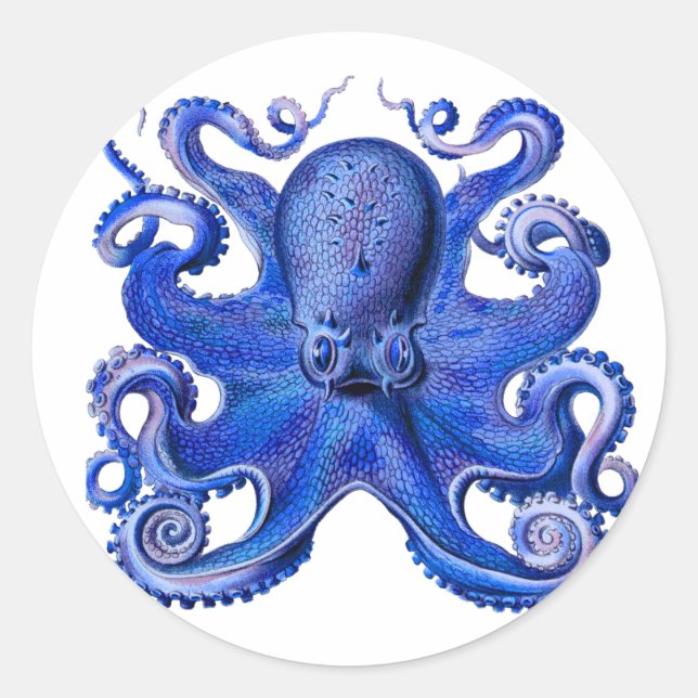 Sticker Rond Haeckel Octopus Blue (Devant)