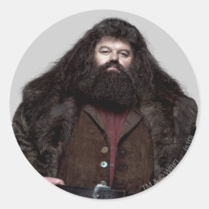 Sticker Rond Hagrid et Chien