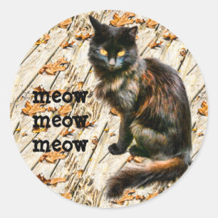 Sticker Rond Halloween Chat noir Animaux de compagnie photo Meo