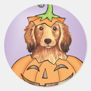 Sticker Rond Halloween Dachshund