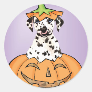 Sticker Rond Halloween Dalmatien