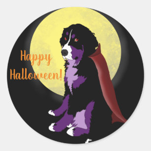 Sticker Rond Halloween Dracula Bernese Mountain Dog