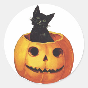 Sticker Rond Halloween vintage, joli chat noir dans une citroui