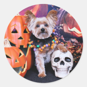 Sticker Rond Halloween - Yorkie - Vinnie