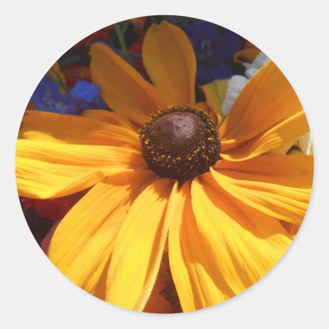 Sticker Rond Halte (Devant)