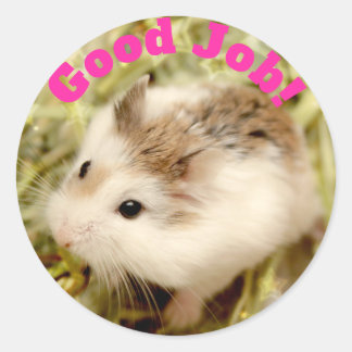 Sticker Rond Hammyville - Joli Hamster Bon Travail