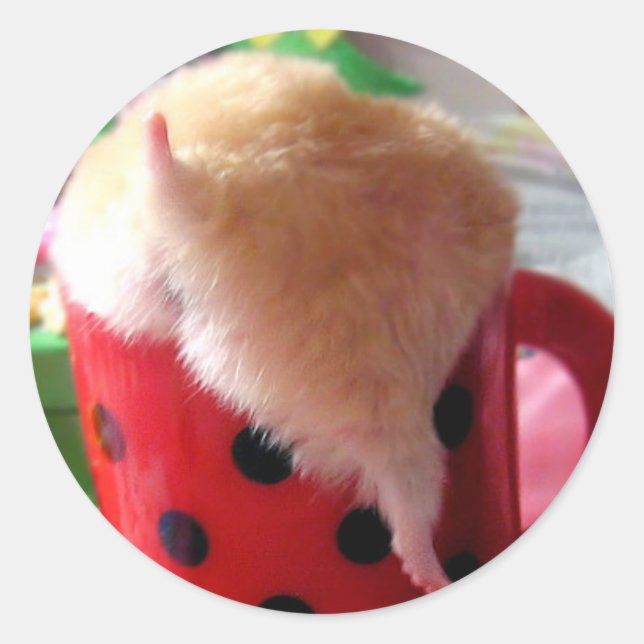 Sticker Rond Hamster butt (Devant)