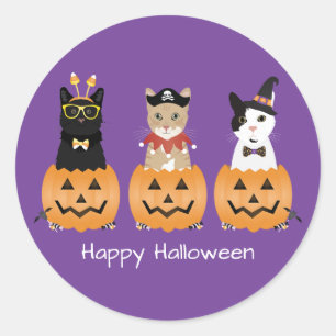 Sticker Rond Happy Halloween Cats Jack-o'-lantern