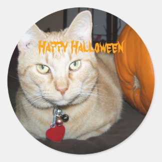 Sticker Rond Happy Halloween Tabby Chat orange avec Citrouille