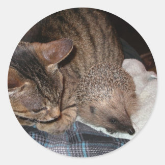 Sticker Rond Harold l'autocollant de hérisson