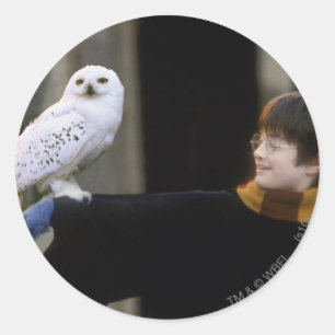 Sticker Rond Harry et Hedwig 3
