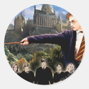 STICKER ROND HARRY POTTER ET L'ORDRE DU PHOENIX™