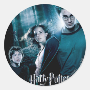 Sticker Rond Harry Potter Ron Hermione En Forêt