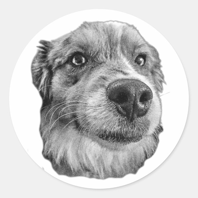 Sticker Rond Haut et loyal (Devant)