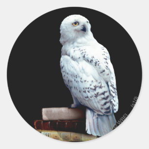 Sticker Rond Hedwig dans les livres