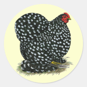 Sticker Rond Hen Cochin Bouché